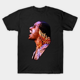 Stevie Wonder T-Shirt